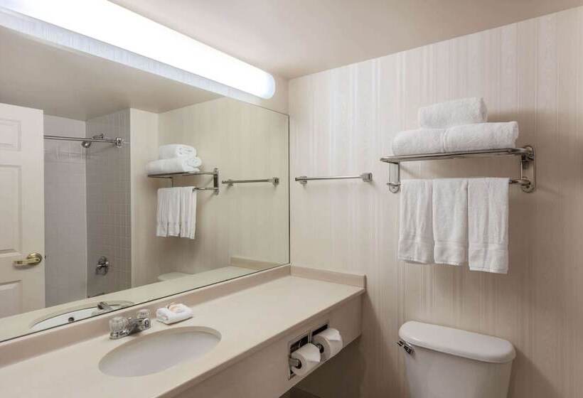 Номер Стандарт 2 Двуспальные Кровати, La Quinta By Wyndham Garden City