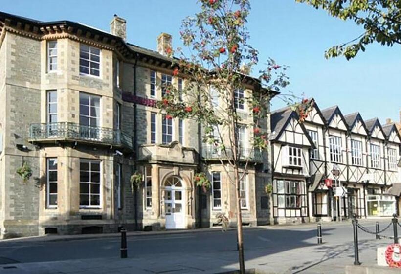 Номер Стандарт, The Knighton