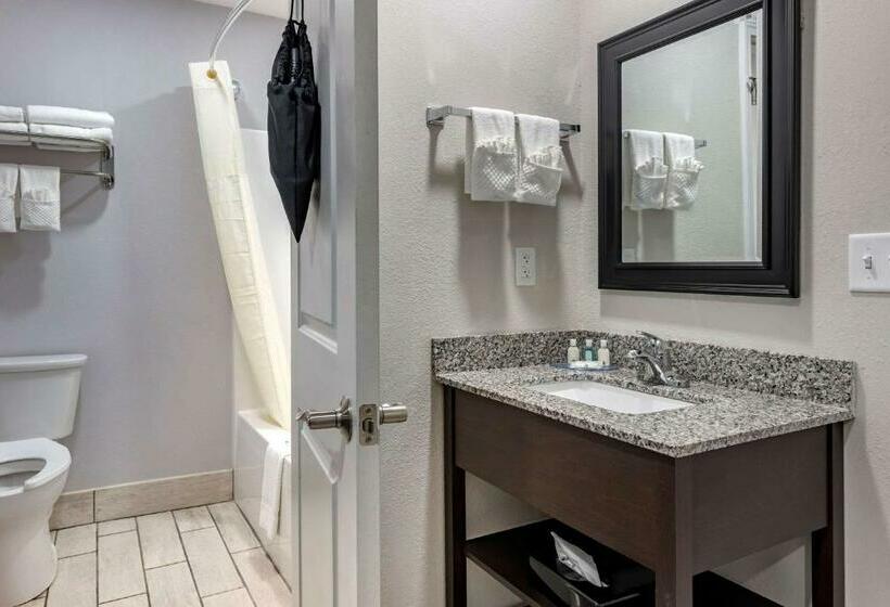 اتاق استاندارد با 2 تخت دوبل, Quality Inn & Suites Evansville Downtown