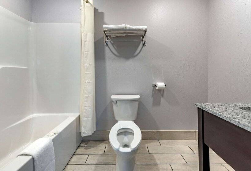 اتاق استاندارد با 2 تخت دوبل, Quality Inn & Suites Evansville Downtown