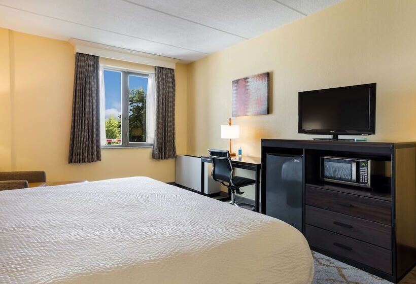 스탠다드 룸 더블 침대, Best Western Grand Victorian Inn