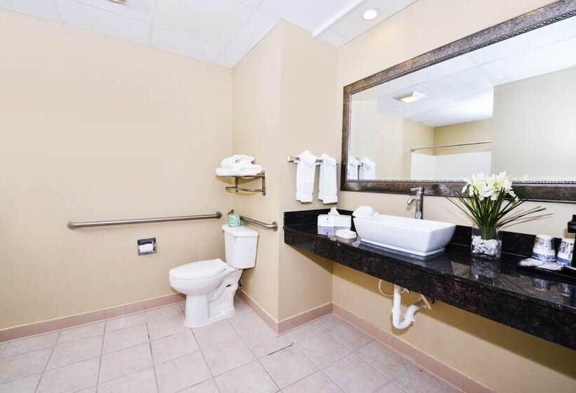 Люкс Адаптированный для Инвалидов, Best Western Plus Savannah Airport Inn And Suites