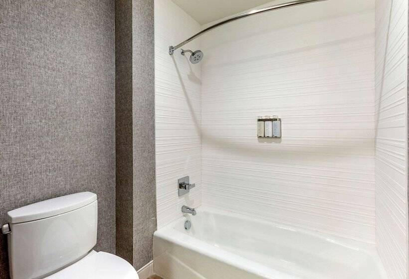 带2个双人床的标准工作室, Centro Sonoma Wine Country, Tapestry Collection Hilton