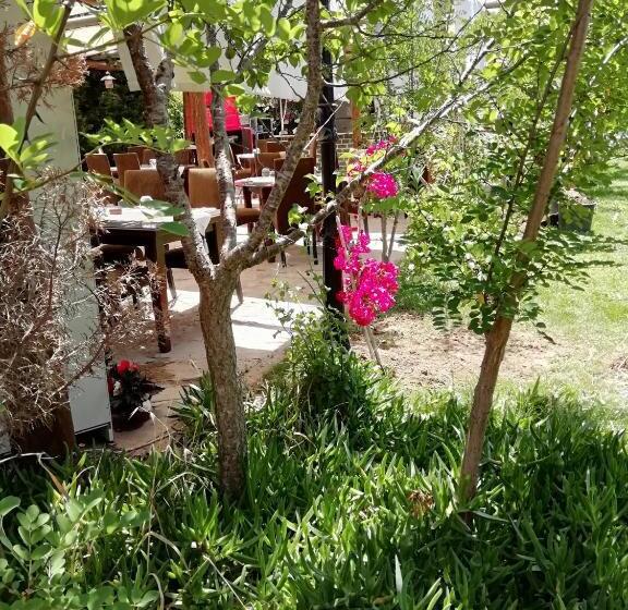 Номер Стандарт, Green House Boğaziçi – Dodo House