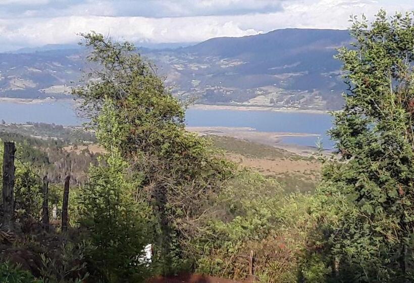 Номер Стандарт, Quinta Los Llanitos Hospedaje Campestre