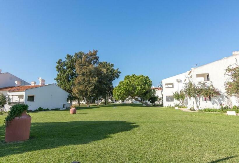 Студия Стандарт, Pedras Da Rainha