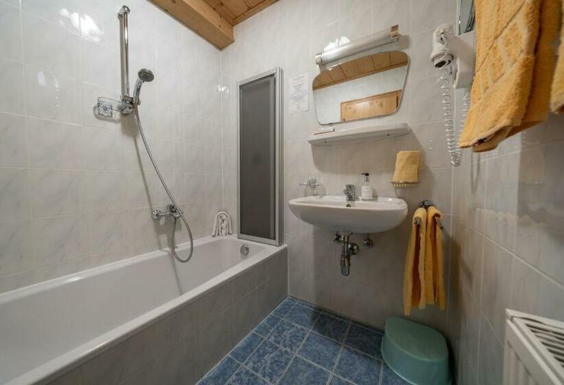 Апартаменты 2 Спальни, Familienhotel Replerhof