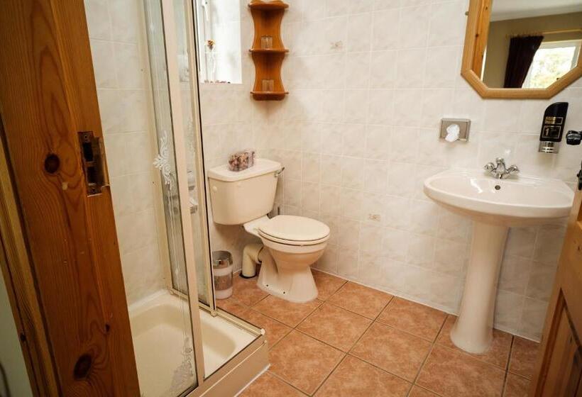 스탠다드 룸 킹사이즈 침대, Ardilaun Guesthouse Self Catering