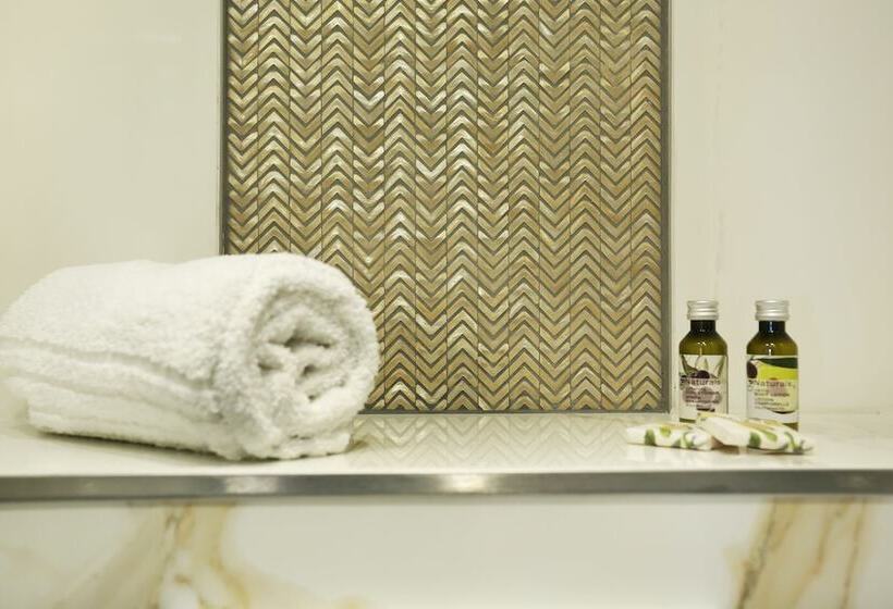 Habitaci�n Est�ndar Abuhardillada, Suisse