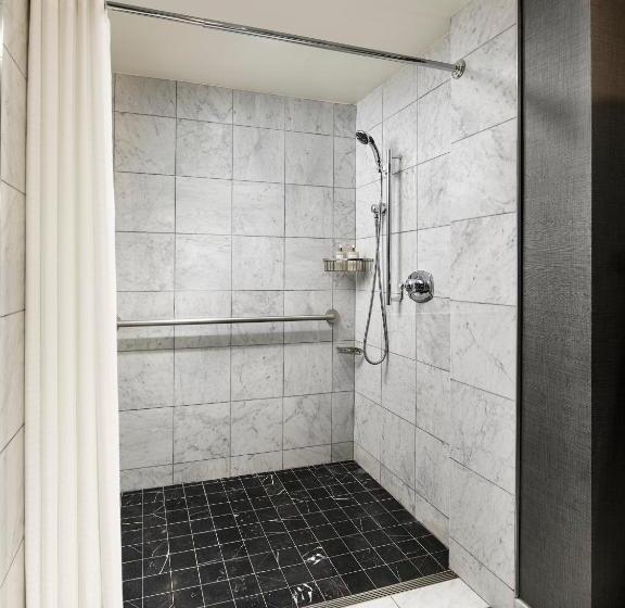 장애인을 위한 스위트, Viceroy Washington Dc