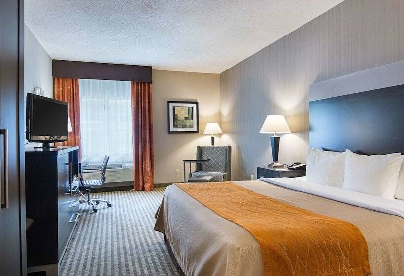 Люкс Адаптированный для Инвалидов, Comfort Inn Camden