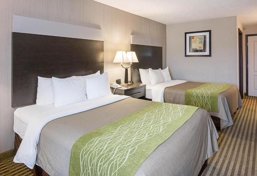 Номер Стандарт, Comfort Inn Camden
