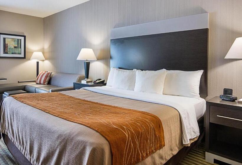 Люкс Адаптированный для Инвалидов, Comfort Inn Camden