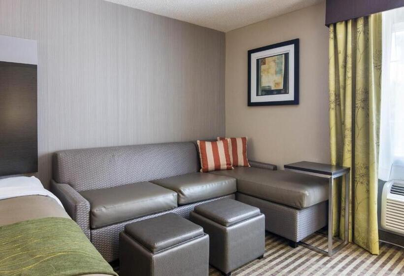Люкс Адаптированный для Инвалидов, Comfort Inn Camden