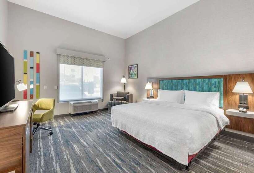适合残疾人使用的标准间, Hampton Inn & Suites Nashville Downtown Capitol View