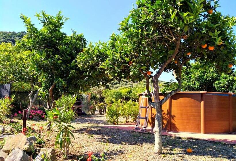 Трехместный Номер Комфорт, Agriturismo Aiolia   Panorama Eolie