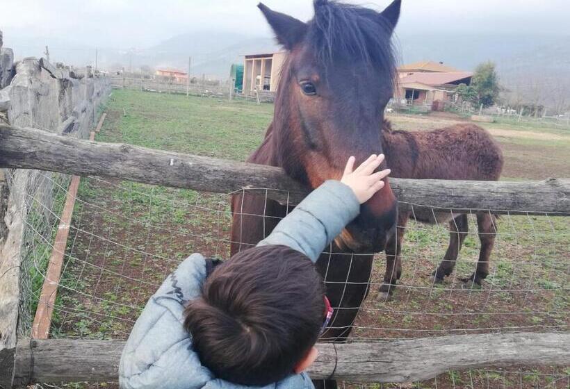 4인용 스탠다드 룸, Casale Cavatella