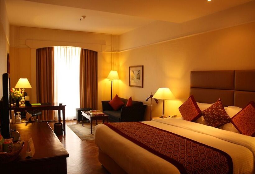 اتاق کلاس بیزنس, Radisson Hotel Kathmandu