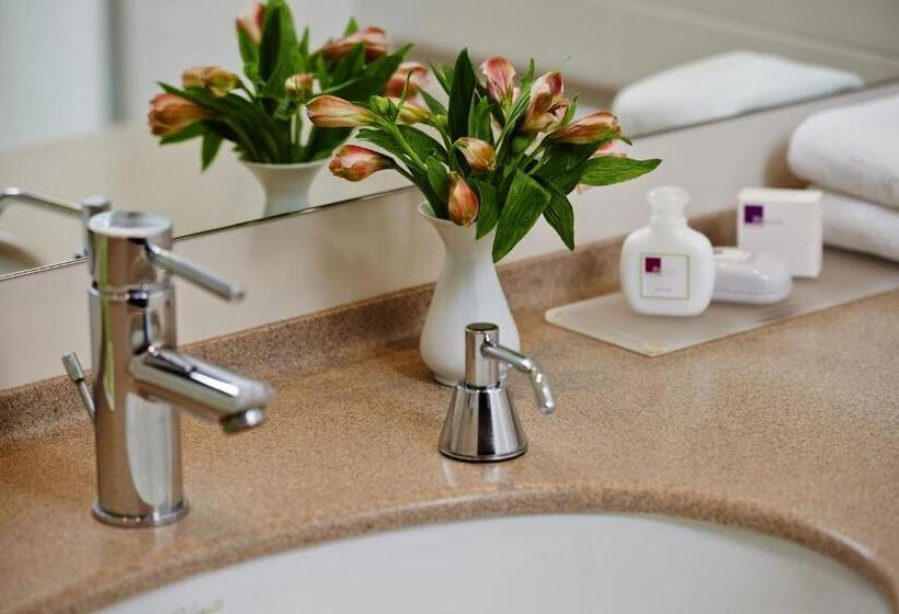 آپارتمان لوکس 1 خوابه, In Hotel Beograd