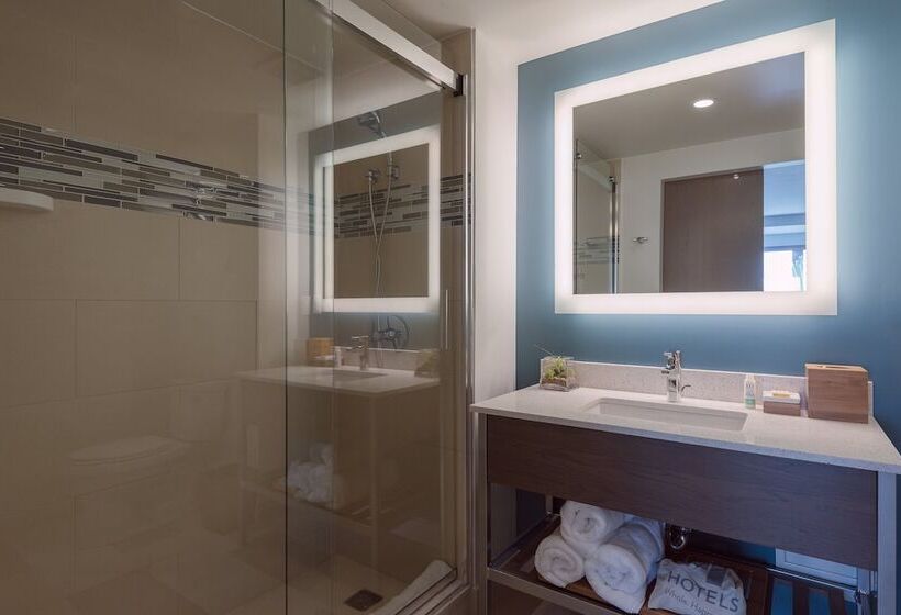 高级客房, Even Hotels   Shenandoah   The Woodlands, An Ihg