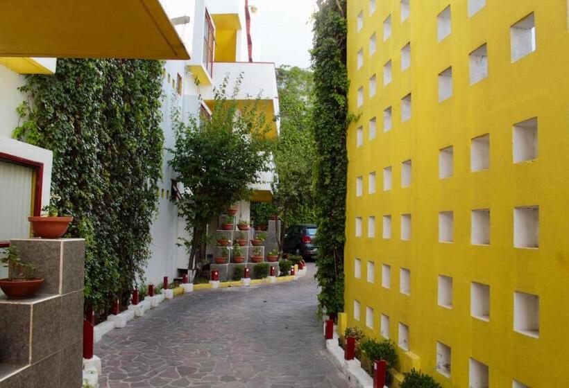 اتاق اکونومی, Inmotega   Suites Tg