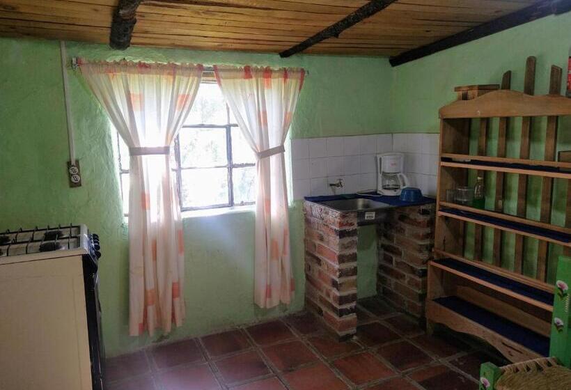 디럭스 룸, Rincón Del Real