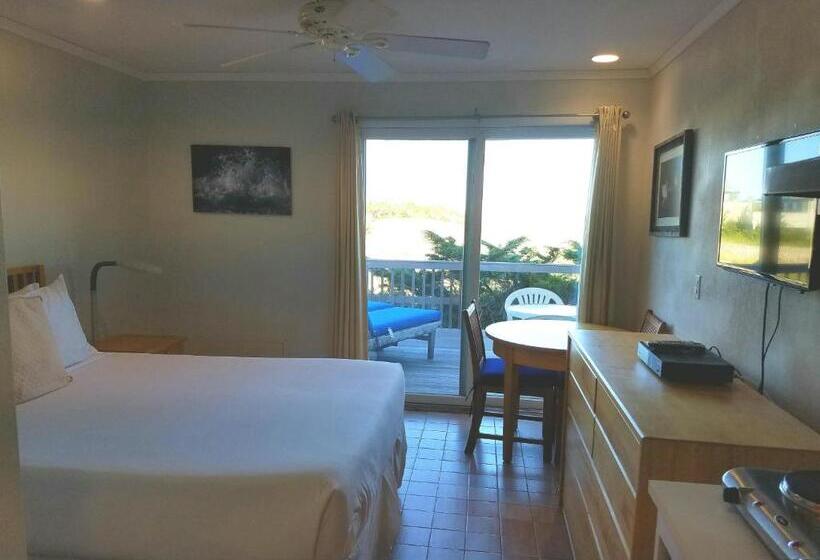 ベーシックルーム, White Sands Motel