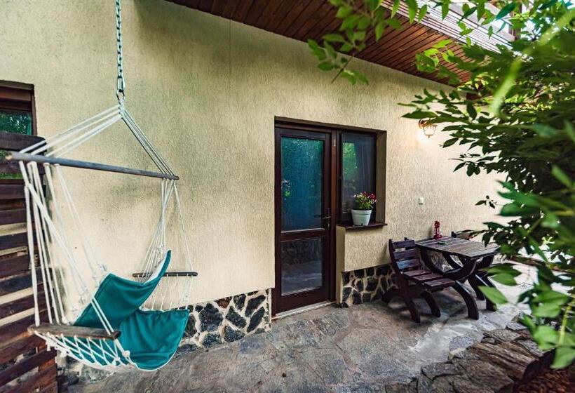 Номер Стандарт Вид на Бассейн, Casa Dives  Transylvania
