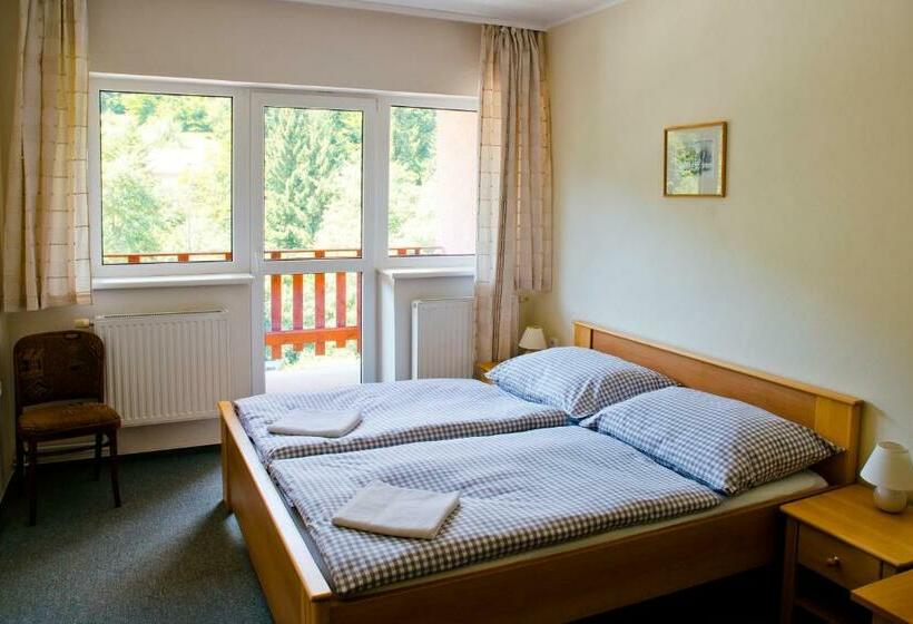 스탠다드 룸, Horský Hotel Podjavorník