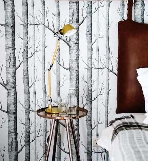 Номер Стандарт Вид на Сад, Indrani Lodge