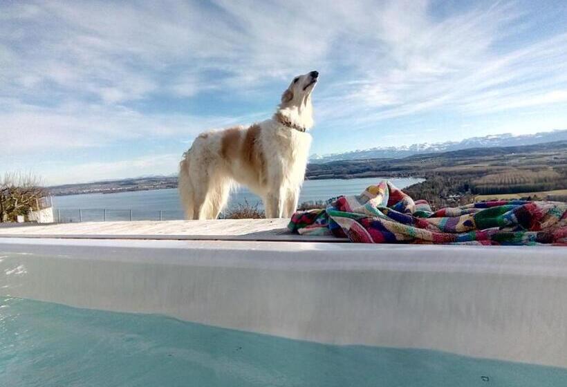 1 Bedroom Apartment Lake View, Swiss Borzoi House