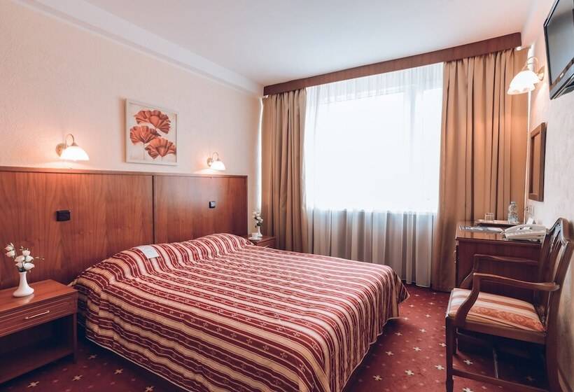 اتاق استاندارد, Premier Hotel Rus