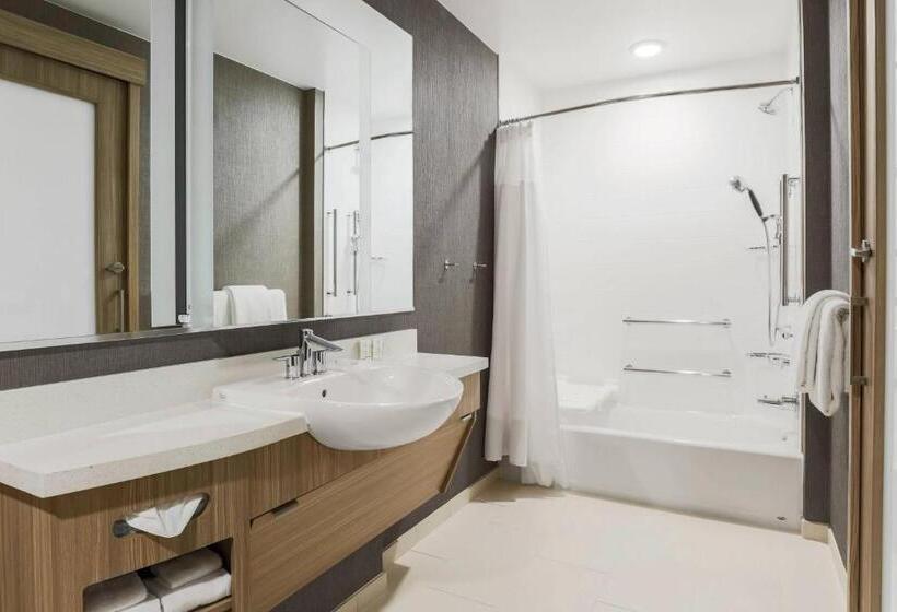 套房, Springhill Suites By Marriott Truckee