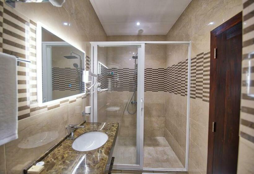 غرفة ديلوكس فردية, Viveka Hotel Colombo