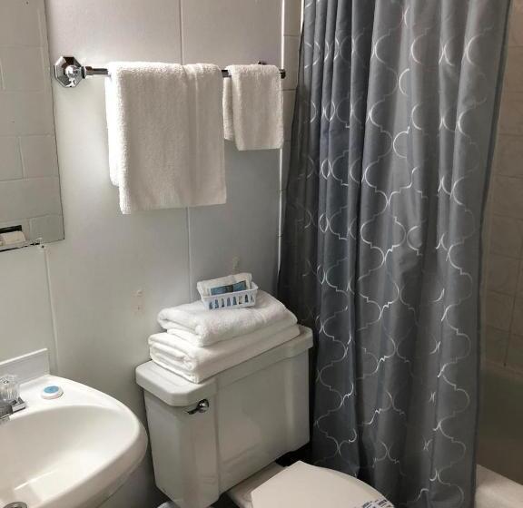 Номер Стандарт, Pines Motel
