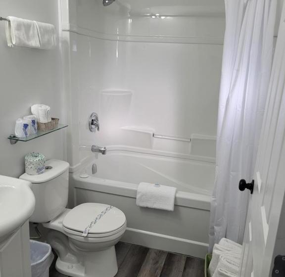 Студия Deluxe, Pines Motel