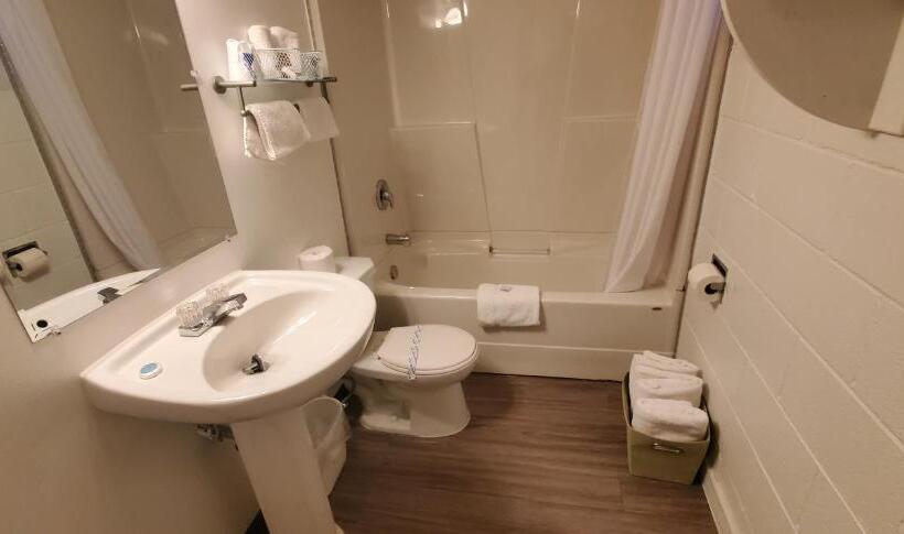 Студия Deluxe, Pines Motel