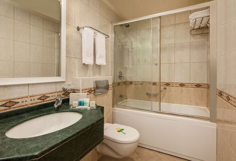 Habitación Clásica, Elite World Comfy Istanbul Taksim