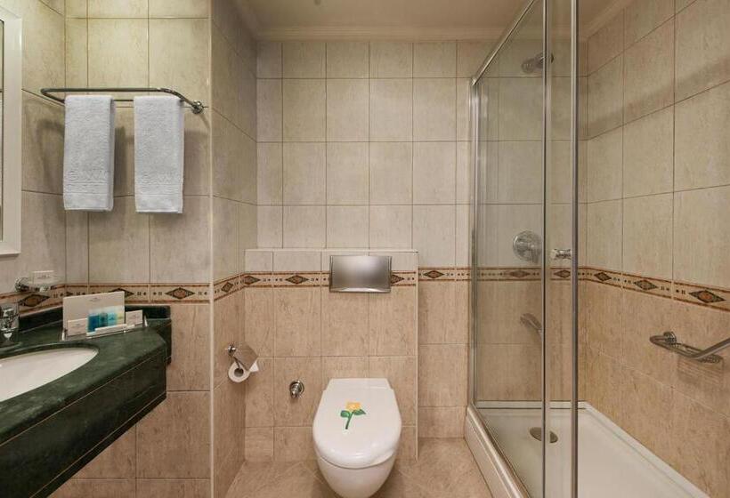 Habitación Clásica, Elite World Comfy Istanbul Taksim