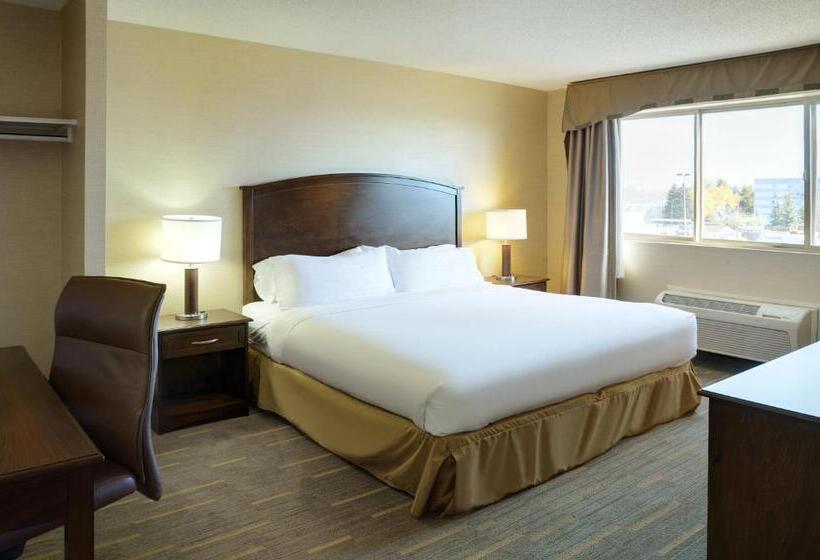 キングサイズベッドのスタンダードルーム, Holiday Inn Lethbridge, An Ihg