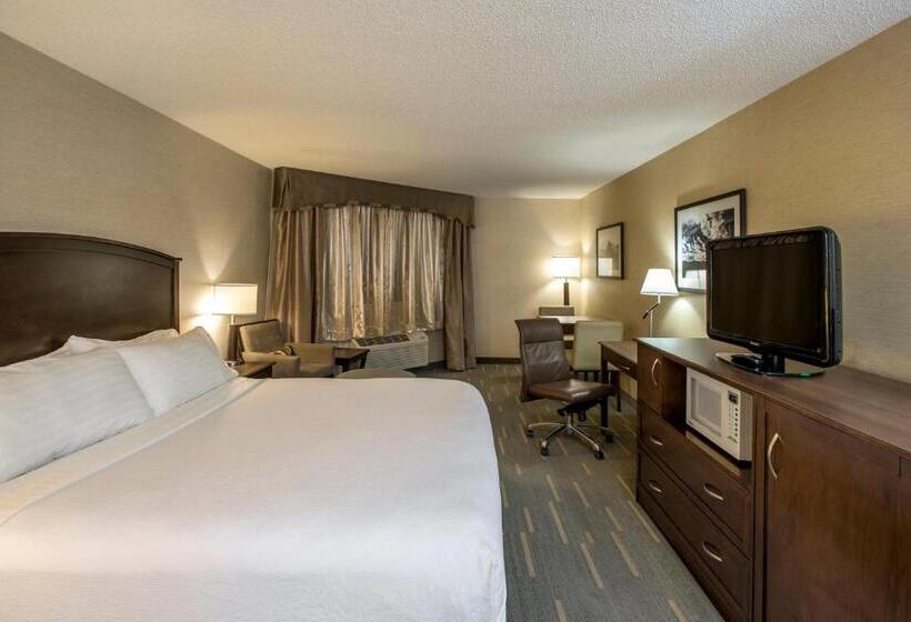 جناح سرير كينج, Holiday Inn Lethbridge, An Ihg