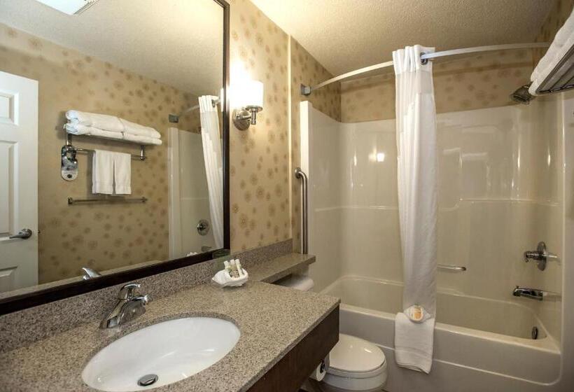 デラックススイート, Holiday Inn Lethbridge, An Ihg