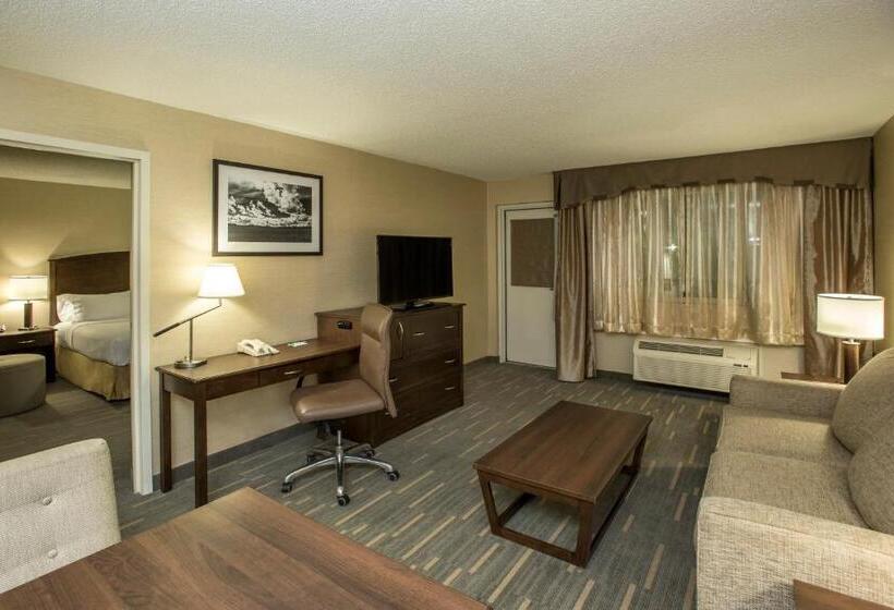 جناح ذو إطلالة, Holiday Inn Lethbridge, An Ihg