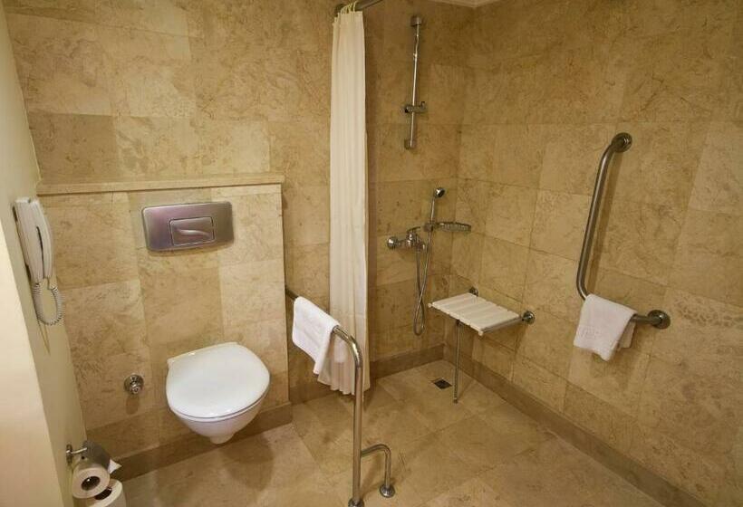 Номер Стандарт Адаптированный для Инвалидов, Ic Hotels Green Palace