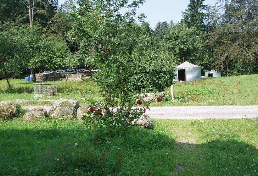 Номер Стандарт, Ferme Du Haut Barba