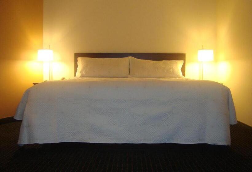 Стандартный Номер Кровать Кинг, Travelodge By Wyndham Bracebridge