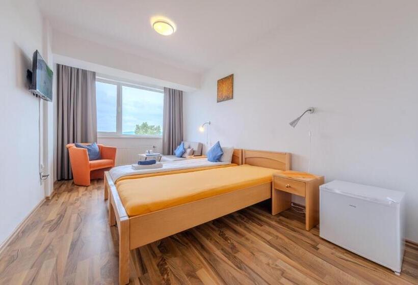 Standard Room Lake View, Penzion Kozí Horka U Brněnské Přehrady