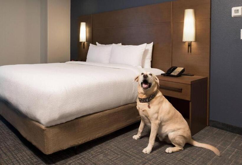 2 Camere da letto Suite 2 Camere da letto Vista fiume, Residence Inn Memphis Downtown