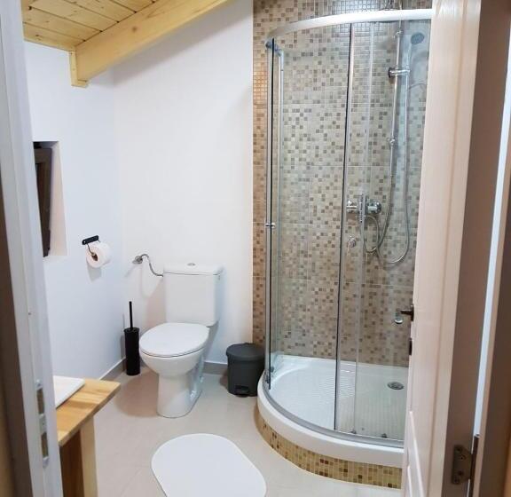 اتاق خانوادگی, Guest House Carpathia