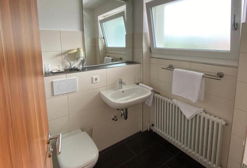 Номер Deluxe с Балконом, Zum Ziel Hotel Grenzach Wyhlen Bei Basel